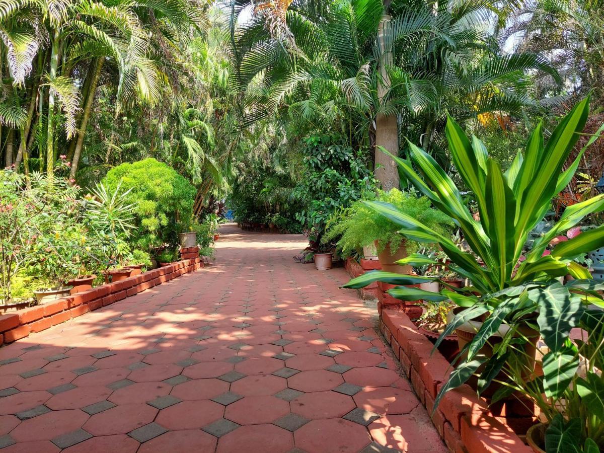 Palm Grove Cottages - Leisure Resort ベナウリム エクステリア 写真