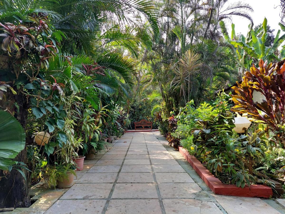 Palm Grove Cottages - Leisure Resort ベナウリム エクステリア 写真