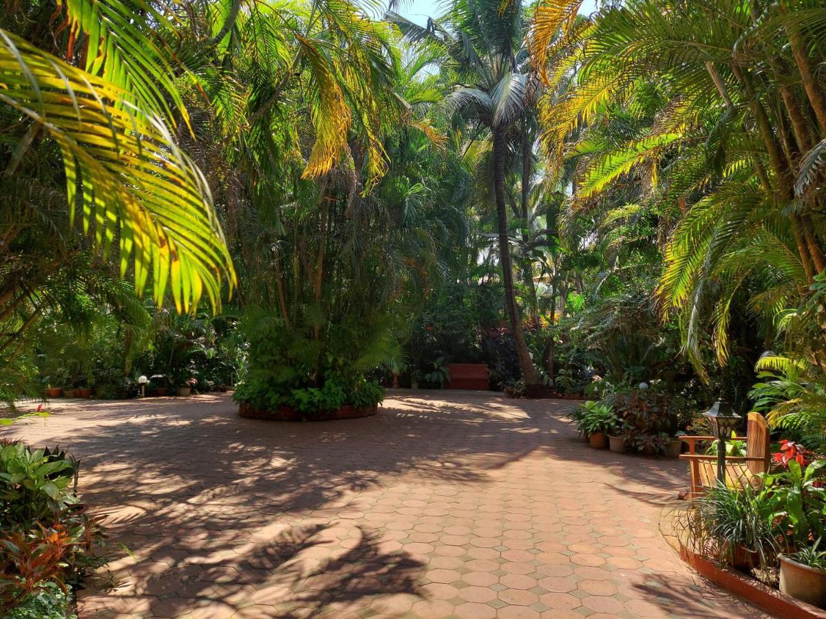 Palm Grove Cottages - Leisure Resort ベナウリム エクステリア 写真