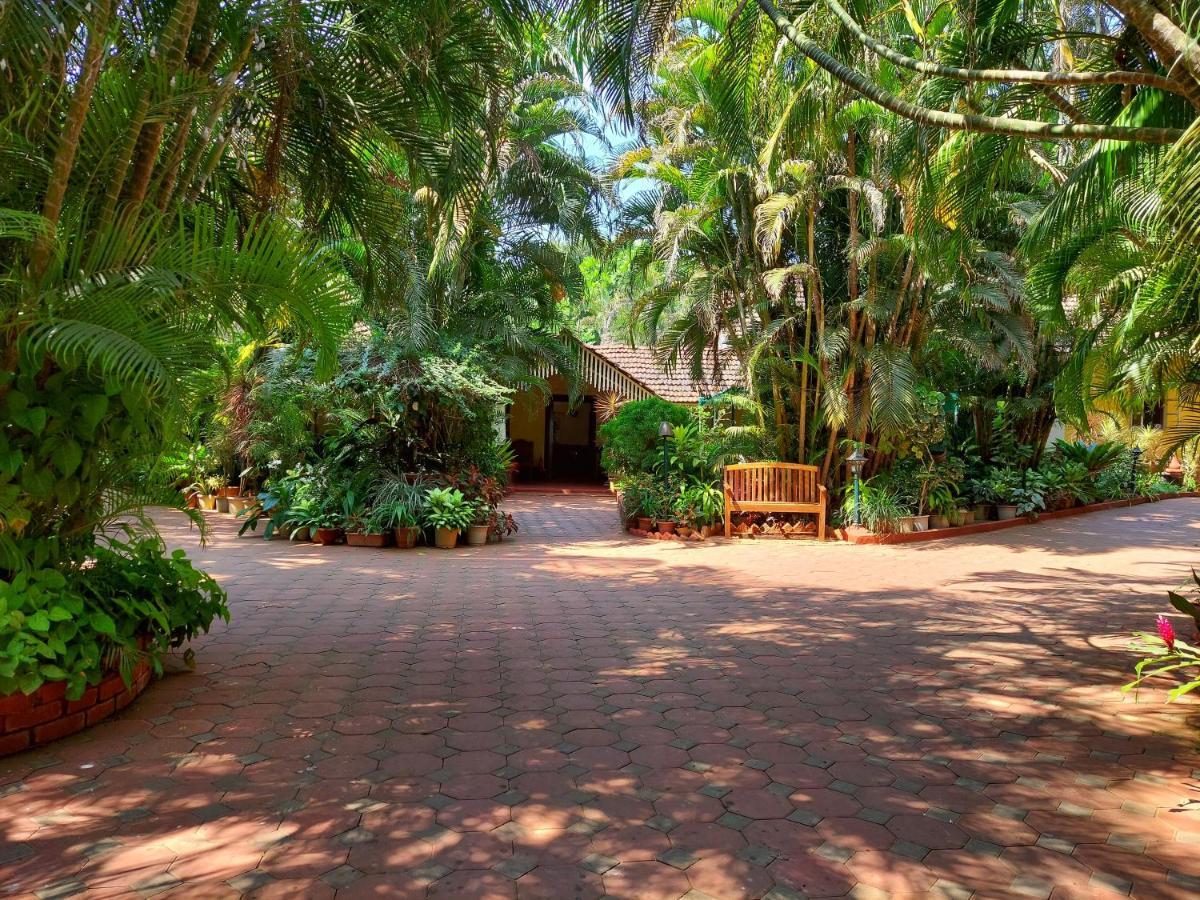 Palm Grove Cottages - Leisure Resort ベナウリム エクステリア 写真