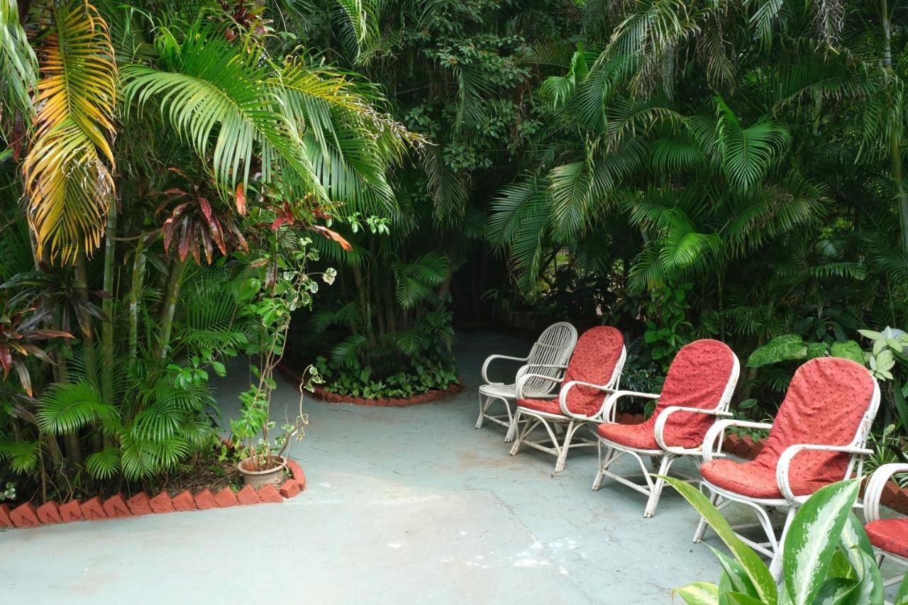 Palm Grove Cottages - Leisure Resort ベナウリム エクステリア 写真