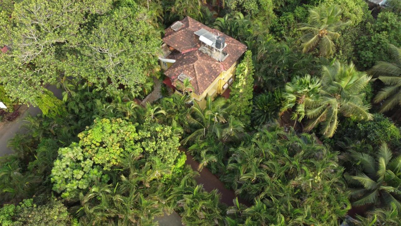 Palm Grove Cottages - Leisure Resort ベナウリム エクステリア 写真