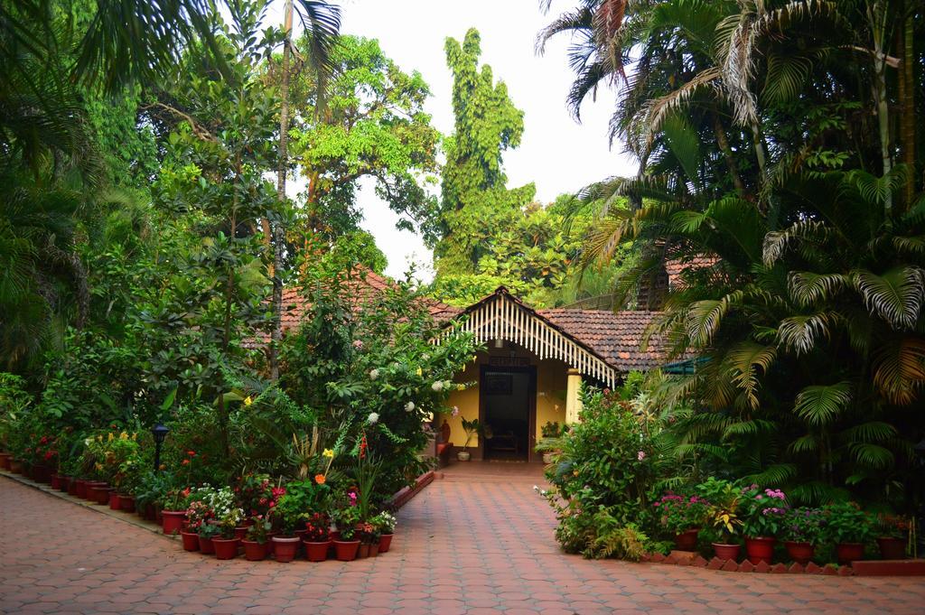 Palm Grove Cottages - Leisure Resort ベナウリム エクステリア 写真