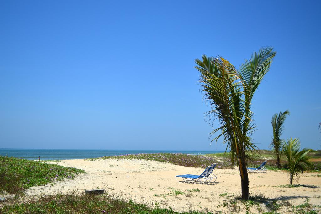 Palm Grove Cottages - Leisure Resort ベナウリム エクステリア 写真
