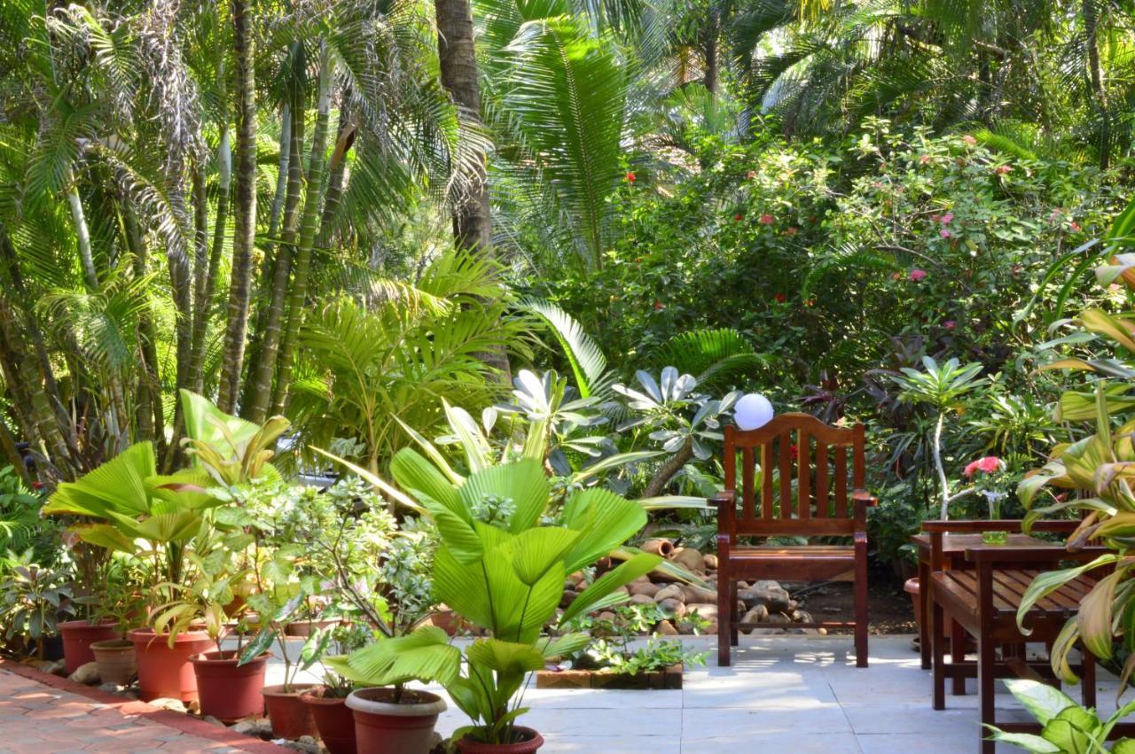 Palm Grove Cottages - Leisure Resort ベナウリム エクステリア 写真