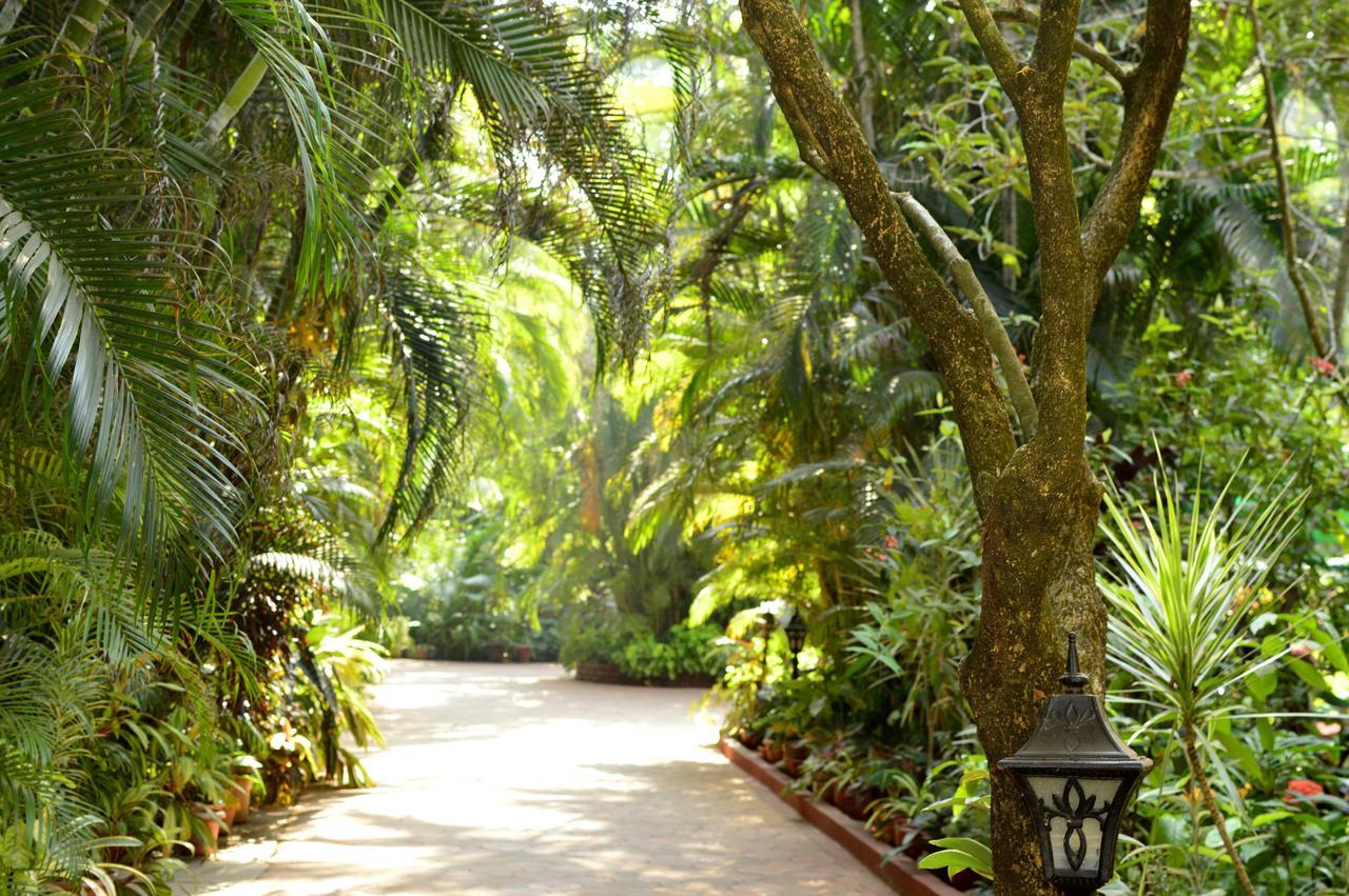 Palm Grove Cottages - Leisure Resort ベナウリム エクステリア 写真